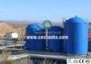 Vitreous EnamelingBolted Anaerobic Digester Tank With SS304 Ladder