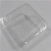 Keep Fresh Plastic Salad Box