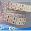 5050 Double-Line LED Strips