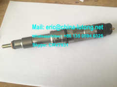 0445120087 / 612630090008 Bosch diesel fuel injector with competitive price