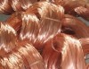 copper scrap wire. copper wire scrap 99.99 copper scrap for sale