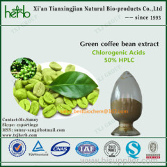 Green coffee bean extract powder Chlorogenic
