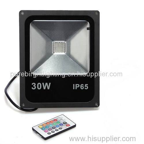 Outdoor 30W COB LED Flood Light White/Warm White or RGB Christmas Color Changing Outdoor LED Flood Lamp 30W with remote