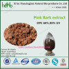 pine bark extract manufacturer