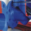 Swing Flex Check Valve