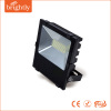 Aluminum housing 10w/30w/50w/100w LED SMD Floodlight