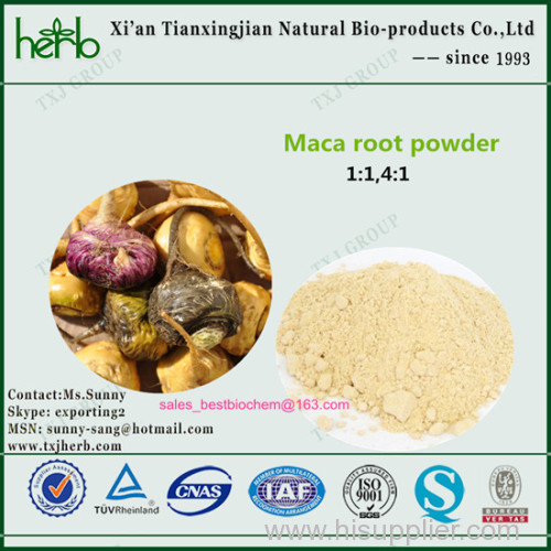 MACA ROOT EXTRACT POWDER