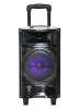 private portable PA speaker