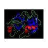 Recombinant Enterokinase E.coli For removing unwanted protein tags