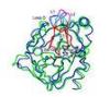 Lyophilized powder Chymotrypsin Enzyme / recombinant human chymotrypsin for mass spectrometry