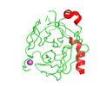 Sequencing grade recombinant trypsin for mass spectrometric analysis