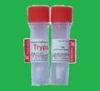Sequencing grade modified trypsin used for Peptide fingerprinting analysis CAS 9002-07-7