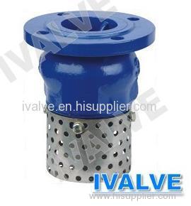 Foot valve lift type