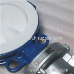 Fluorine Lined Butterfly Valve