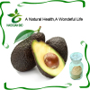 Nutritional Supplement Avocado Extract
