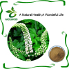 Nutritional Supplement Black Cohosh Extract