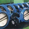 Marine Cast Iron Butterfly Valve