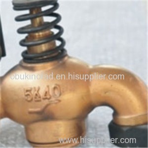 Bronze Self-Closing Drain Valve