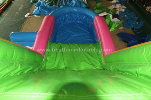 Colorful inflatable pool water slide for adult and children