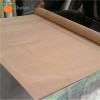 Phosphor Bronze Wire Mesh