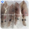 frozen food frozen baby squid