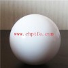 PTFE Ball (SDRY-65) Product Product Product