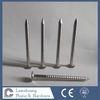 316 Grade Stainless Steel Annular Ring Shank Hardie Construction Nail