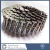 0.120 &quot; Stainless SUS304 15 Degree Wire - Collated Coil Roofing Nails