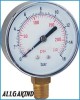 Bottom Dry Pressure Gauge