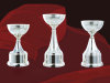 Trophy wholesale trophy group purchasetrophy retail