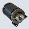 Reverse Osmosls Carbonic Pump motor