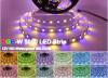 RGBW 5050 LED Strip 12V 60LED/M RGB+White RGB+Warm White