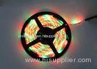 300 LEDs SMD 3528 RGB LED Strip Lights Multi Color With 24W IP68 Outdoor Lighting