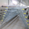 A Type 4 Tiers Quail Laying Cage Net