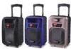 Pro Active Outdoor Portable Bluetooth Trolley Speaker Battery Powered PA System