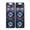 Dual 10 Inch Portable PA Speaker System Bluetooth Disco Light Speaker For Party