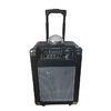 Battery Powered Dj Sound Led Disco Light Bluetooth Speaker Trolley And Equalizer