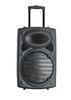 10 Inch 80W Plastic Portable Trolley Speakers / Bluetooth Powered PA Speakers