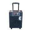 Rechargeable Led Display Portable Bluetooth Trolley Speaker With Wireless Microphone
