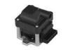 High performance 12V Ignition Coil for European Car auto ignition coil pack module motorcycle