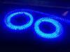 Blue Green Red Flexible LED Strip Lights 5050 LED Epistar Chip