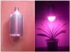 Flower UV Greenhouse LED Grow Lights High Power For Aeroponics