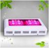 460nm Blue LED Plant Grow Lights 2582lm High Lumens Long Lifespan