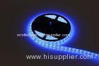 RGB 12 Volt Outdoor LED Module Strip / RGBW LED Module IP65 Waterproof