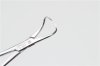 Surgical Forceps Towel Forceps