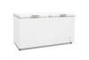 388L - 1100L Commercial Chest Freezer Horizontal Two Door Commercial Refrigerator