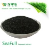 Seaweed extract fertilizer with high content of Bioactivity substance