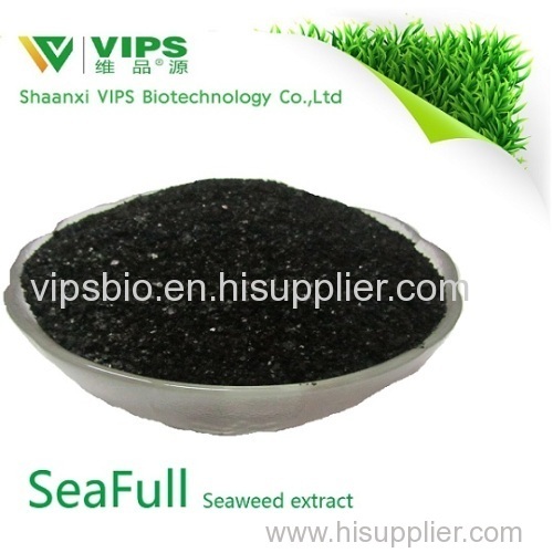 VIPS SeaFull- the high level Biostimulator fertilizer from ascophllum nodosum