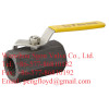 1pc hexagonal ball valve