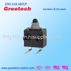 Mini Slide Micro Switch